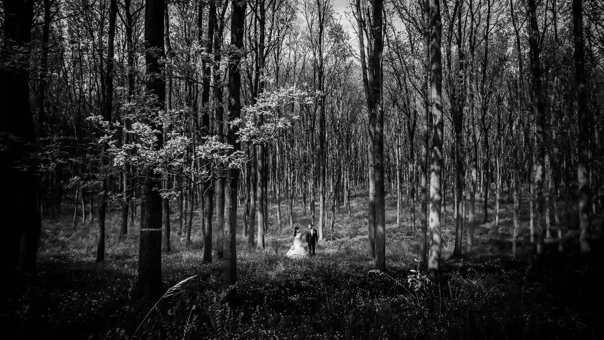brautpaar im wald in schwarz weiß. reduziert. wie eine landschaftsaufnahme